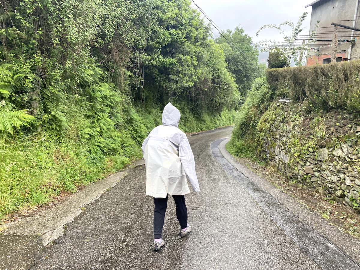 カミーノ　ポルトガルの道8日目