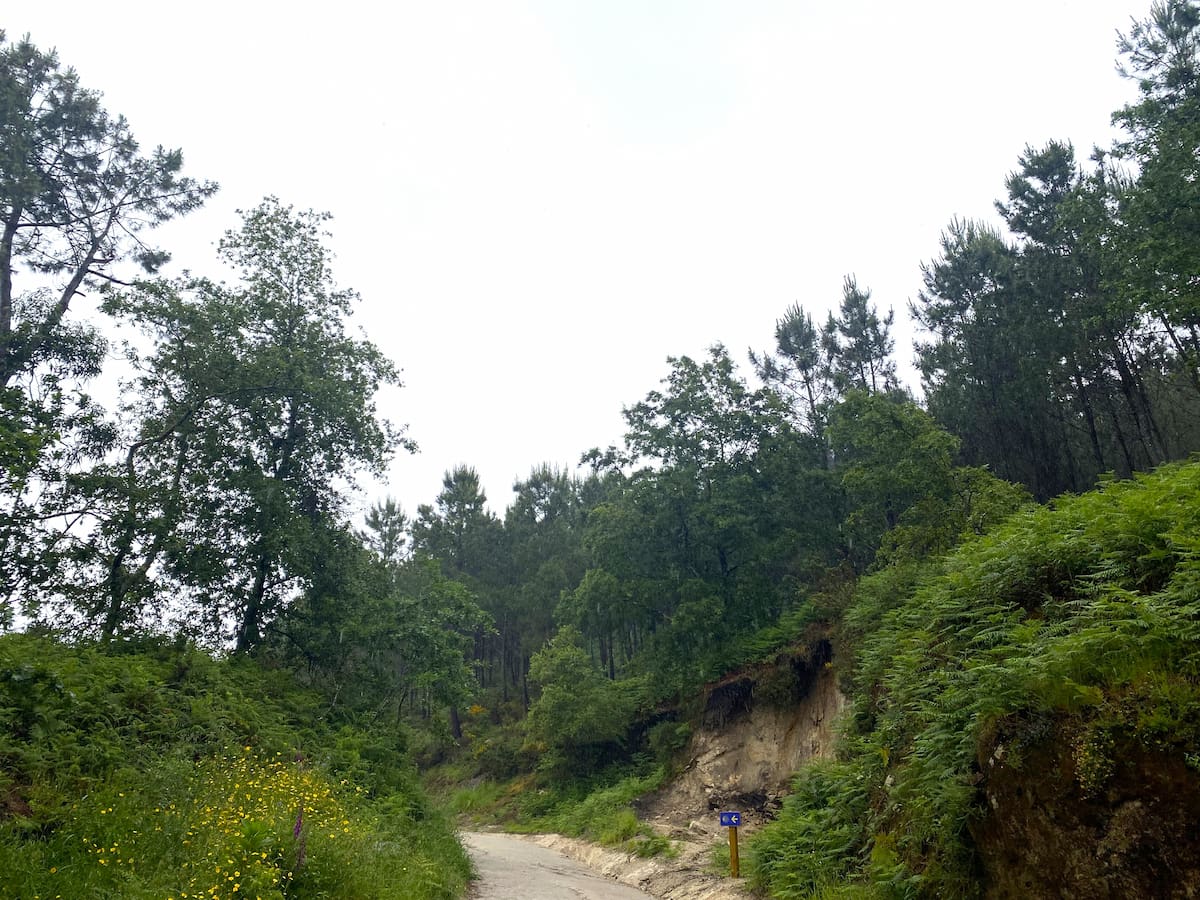 カミーノ　ポルトガルの道8日目