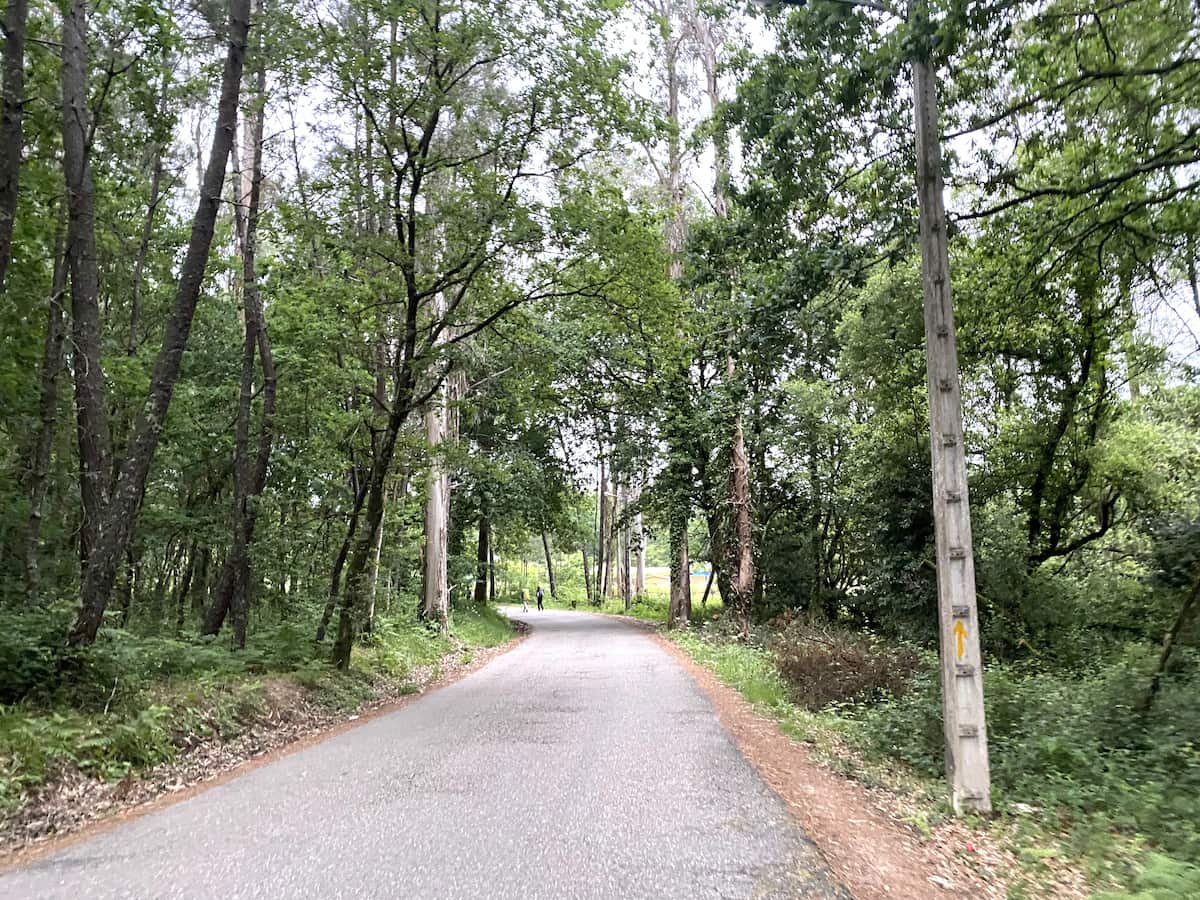 カミーノ　ポルトガルの道8日目