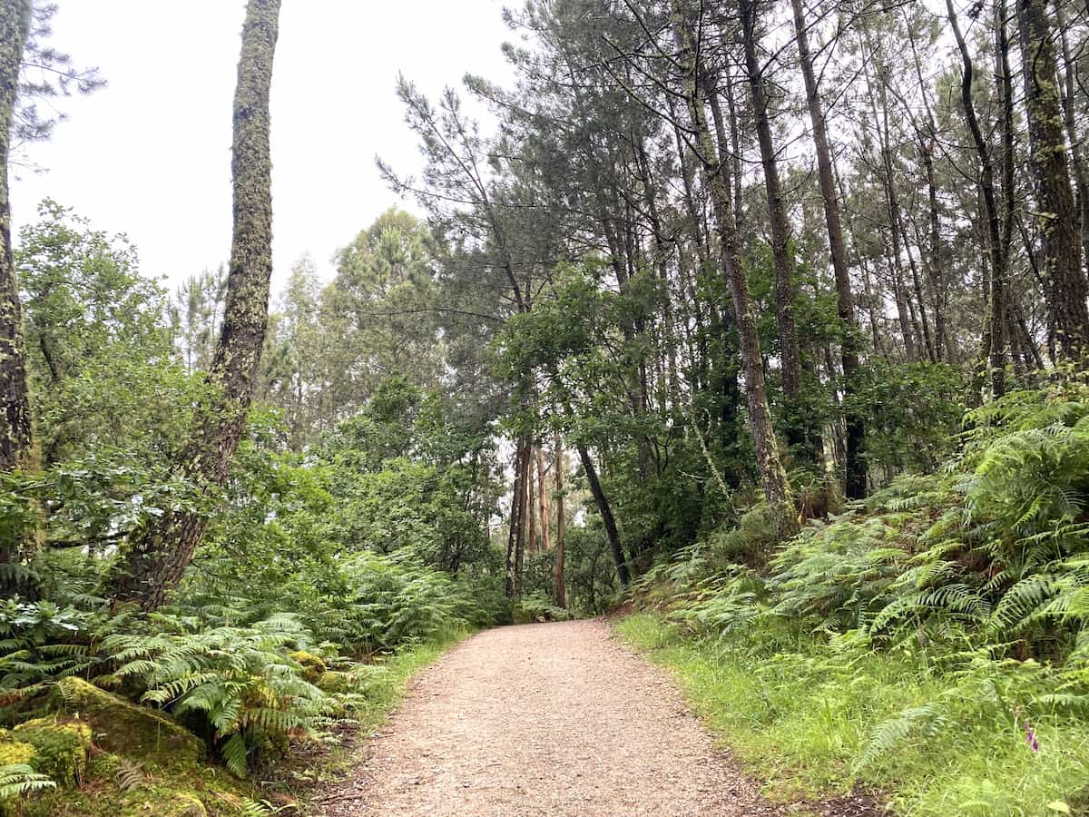 カミーノ　ポルトガルの道9日目
