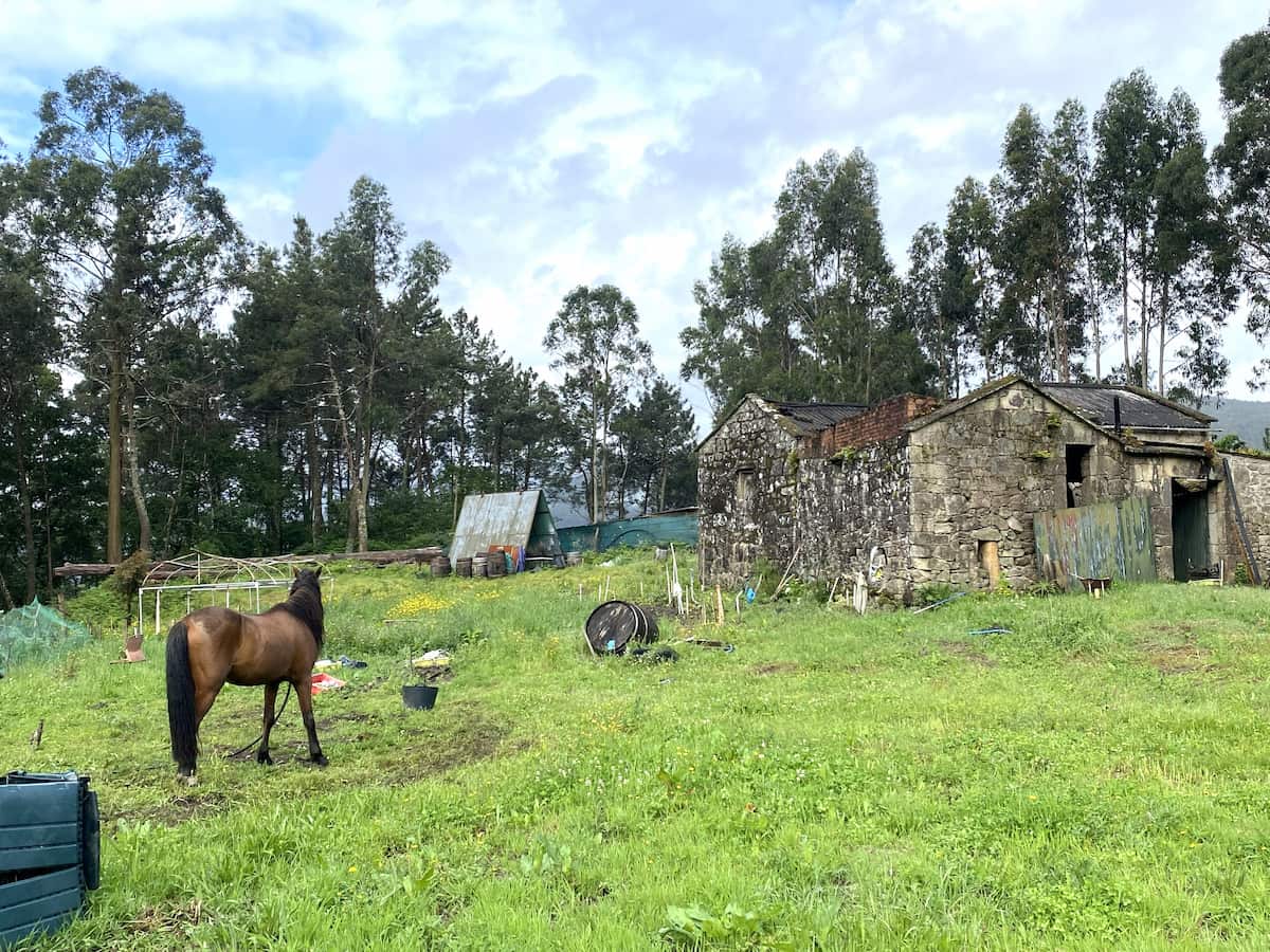 カミーノ　ポルトガルの道9日目