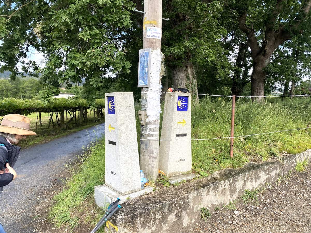 カミーノ　ポルトガルの道9日目