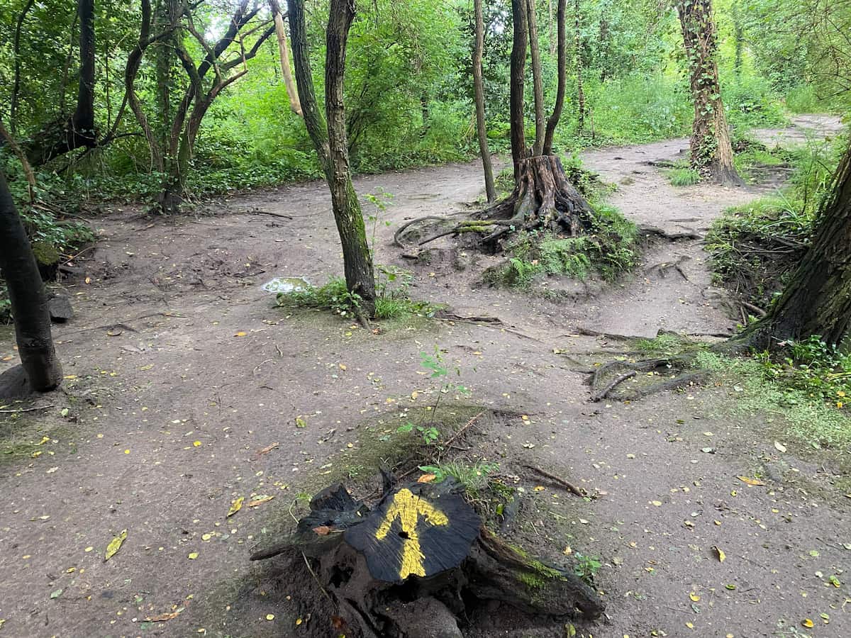 カミーノ　ポルトガルの道9日目