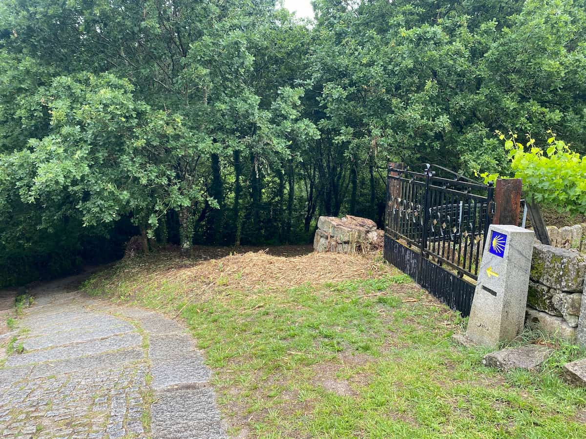 カミーノ　ポルトガルの道9日目