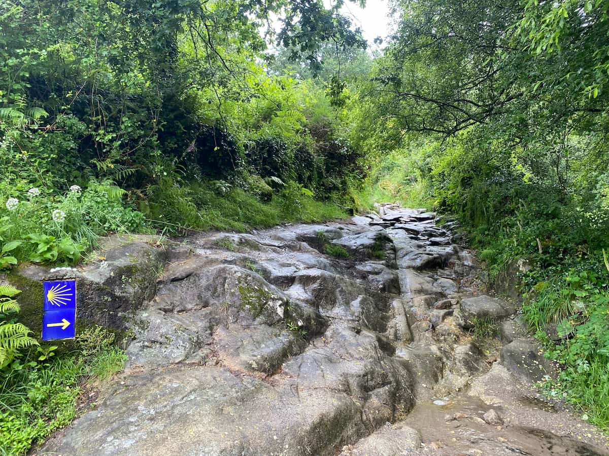 カミーノ　ポルトガルの道9日目