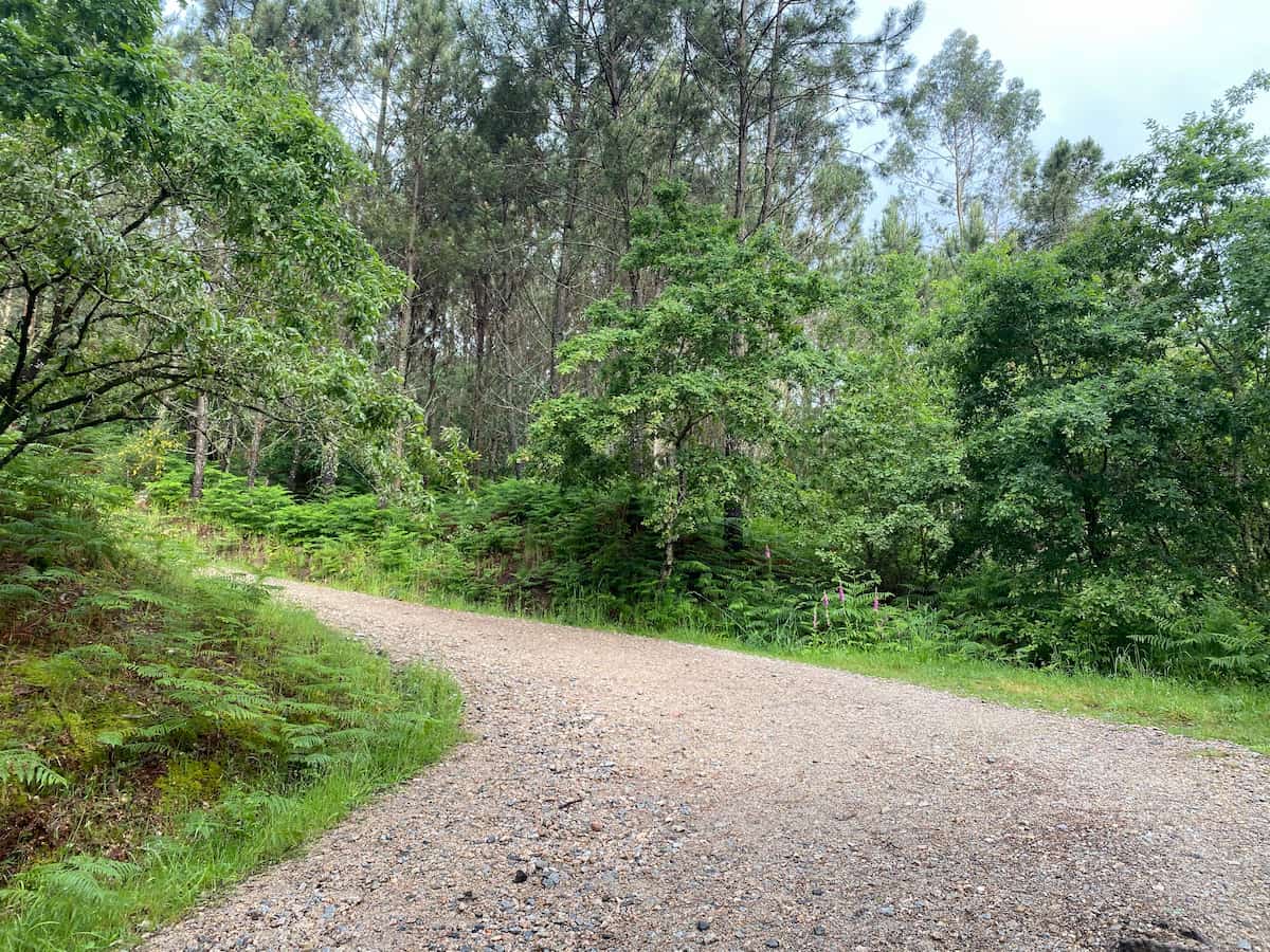カミーノ　ポルトガルの道9日目