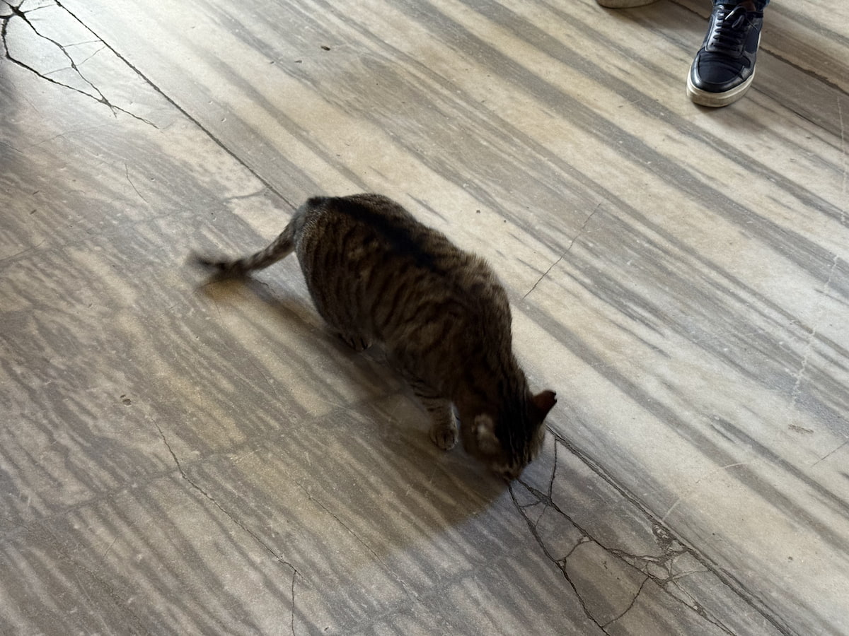 アヤソフィア　ハギア・ソフィア